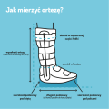 infografika orteza mala.png